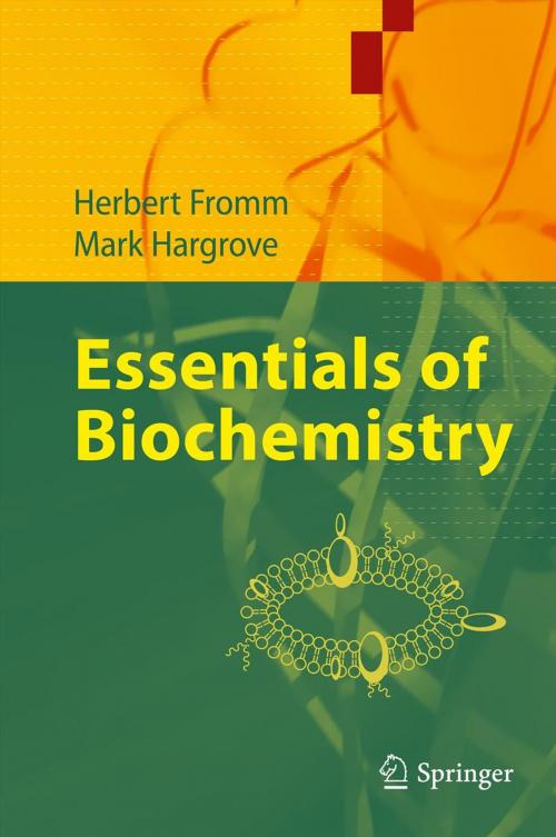Cover of the book Essentials of Biochemistry by Mark Hargrove, Herbert J. Fromm, Springer Berlin Heidelberg