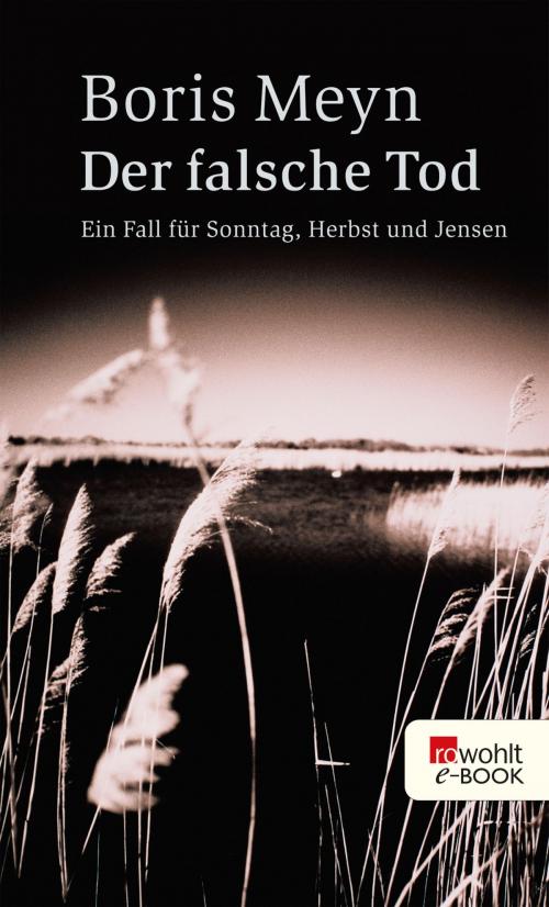 Cover of the book Der falsche Tod by Boris Meyn, Rowohlt E-Book