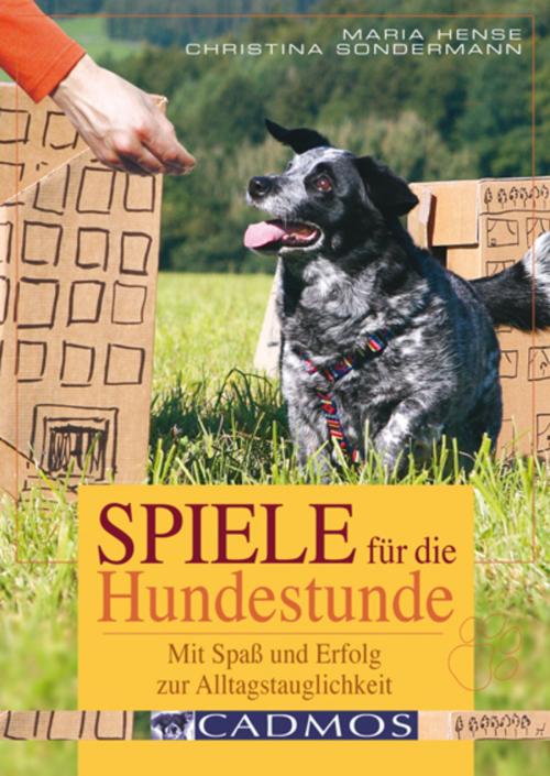Cover of the book Spiele für die Hundestunde by Marina Hense, Christina Sondermann, Cadmos Verlag