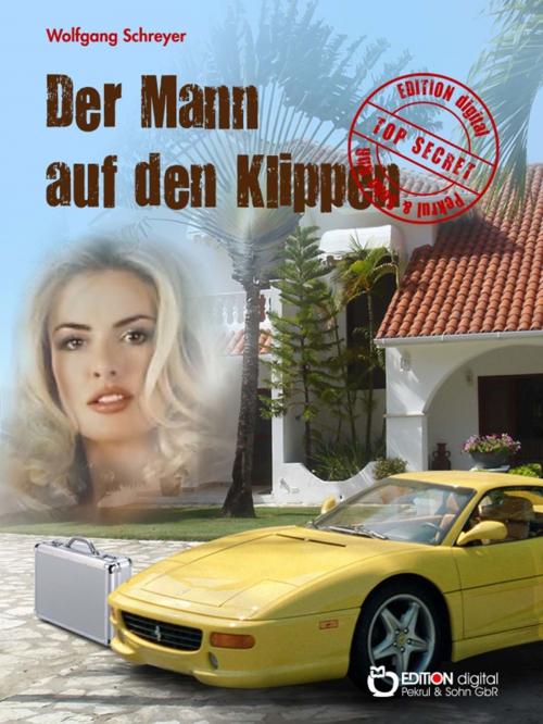 Cover of the book Der Mann auf den Klippen by Wolfgang Schreyer, EDITION digital