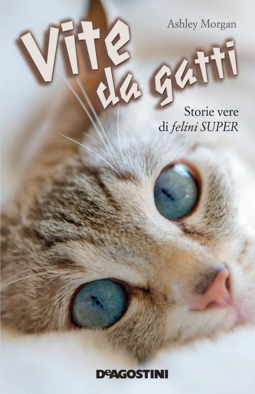 Cover of the book Vite da gatti by Ashley Morgan, De Agostini