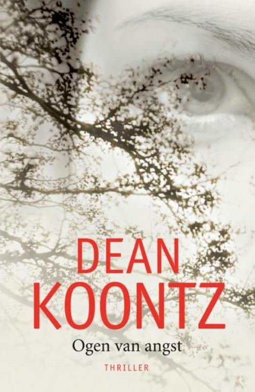 Cover of the book Ogen van angst by Dean R. Koontz, Luitingh-Sijthoff B.V., Uitgeverij