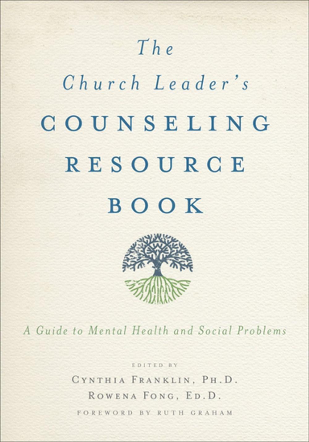 Big bigCover of The Church Leader's Counseling Resource Book