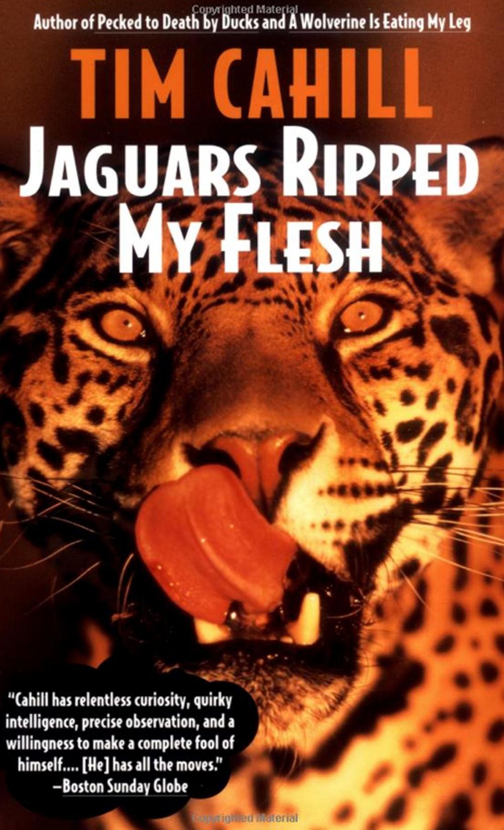 Big bigCover of Jaguars Ripped My Flesh