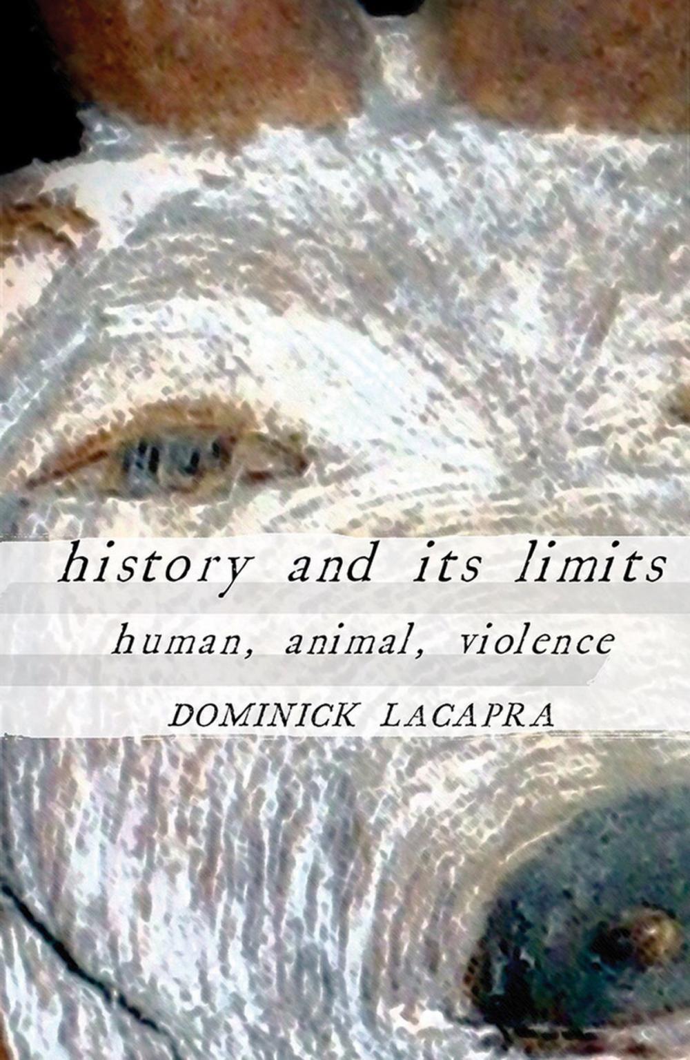Big bigCover of History and Its Limits