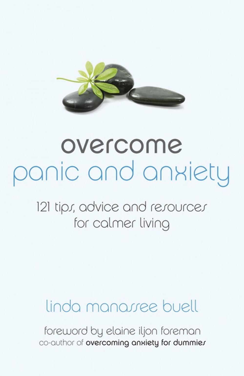 Big bigCover of Overcome Panic and Anxiety