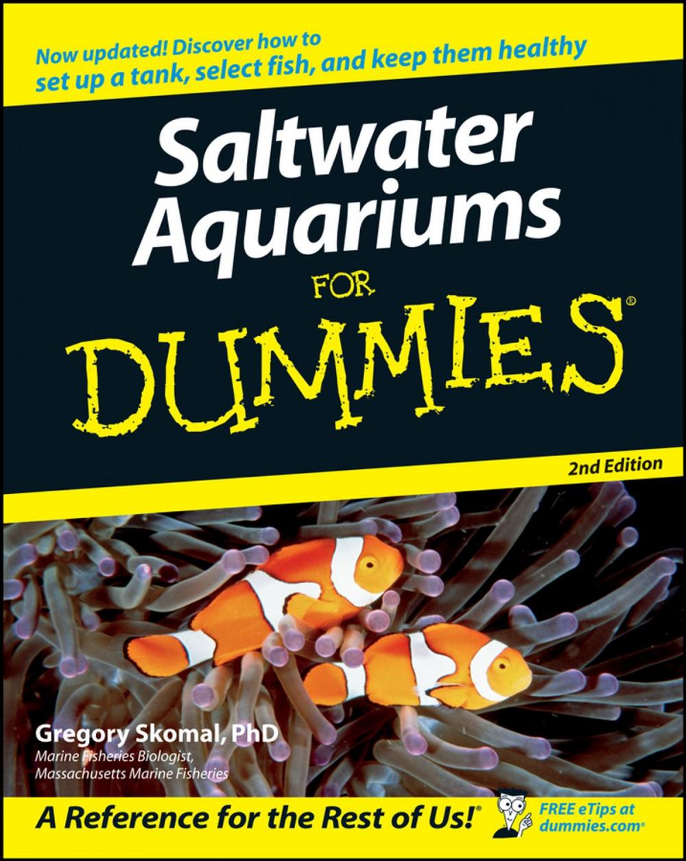 Big bigCover of Saltwater Aquariums For Dummies