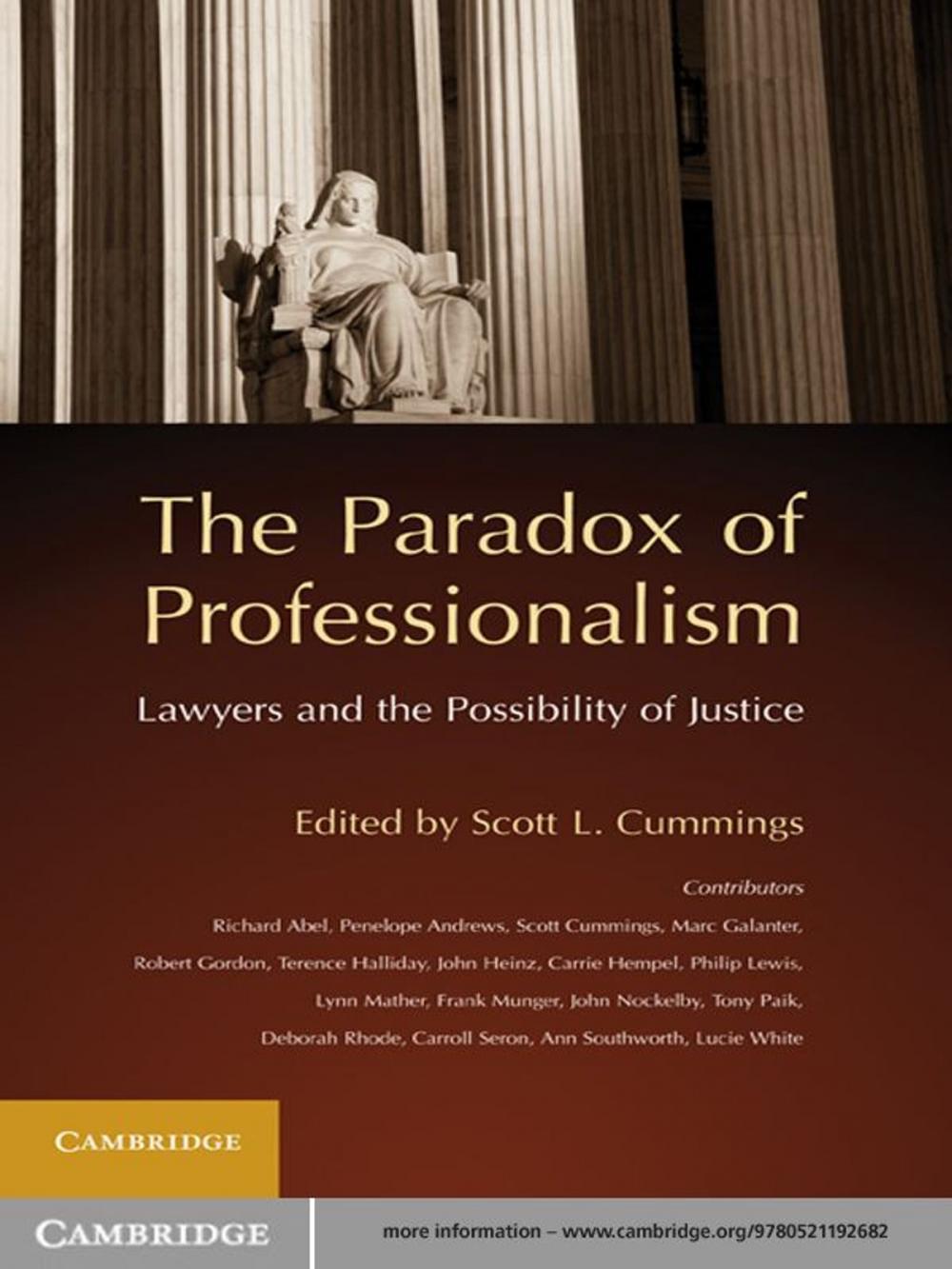 Big bigCover of The Paradox of Professionalism