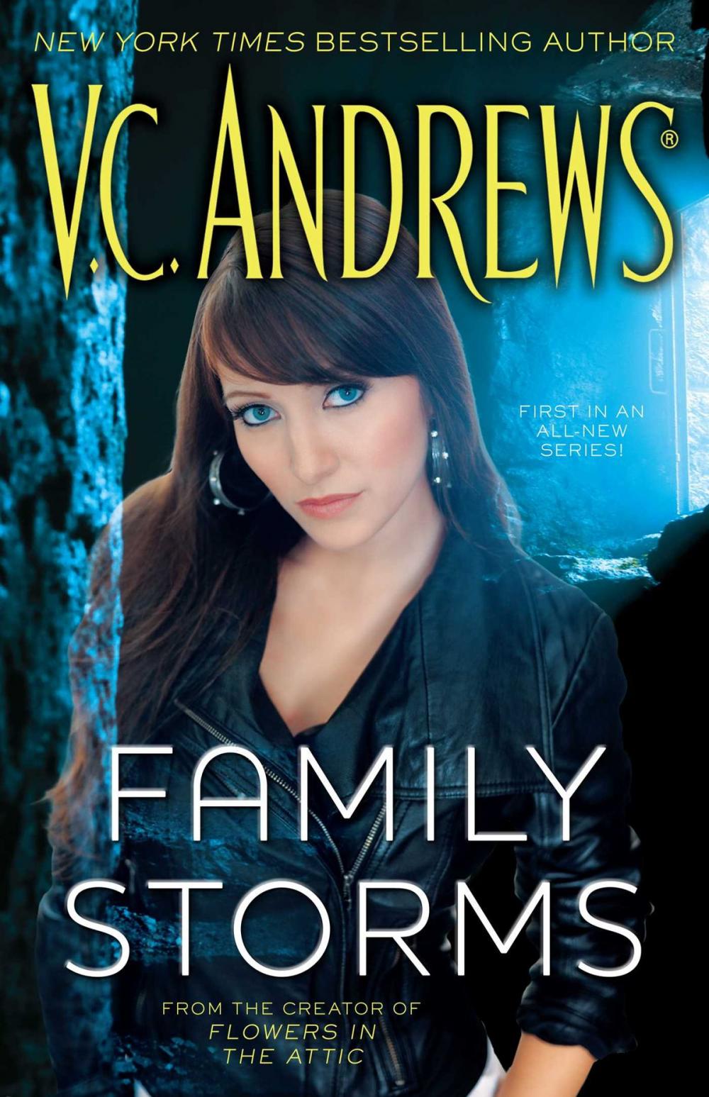 Big bigCover of Family Storms
