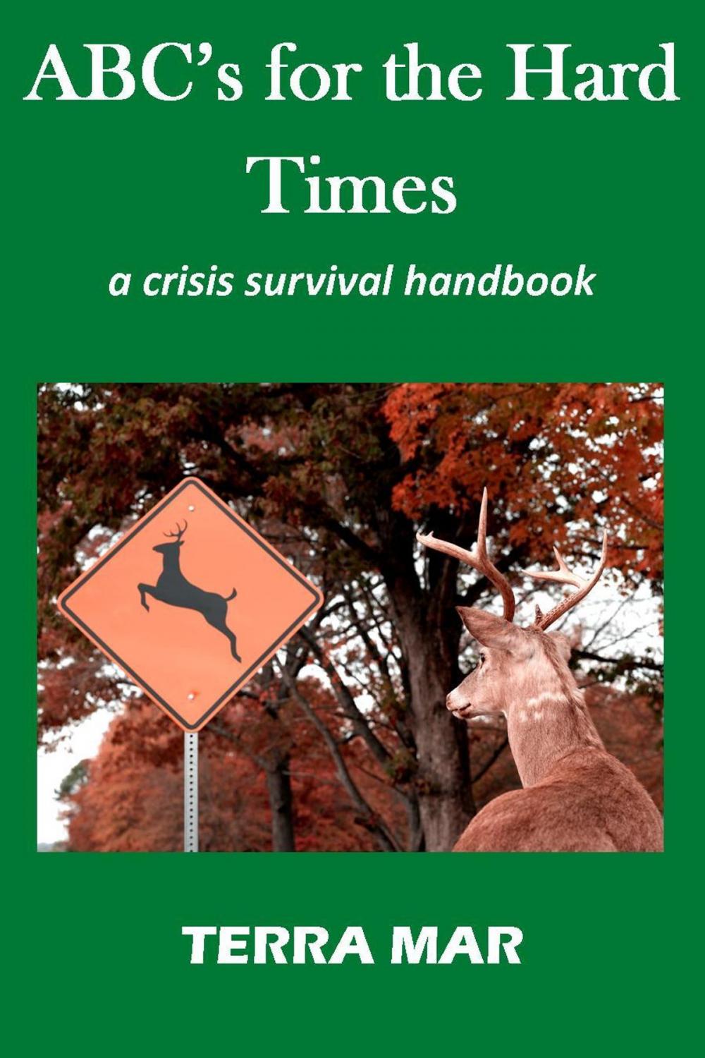 Big bigCover of ABC's for the Hard Times: a crisis survival handbook