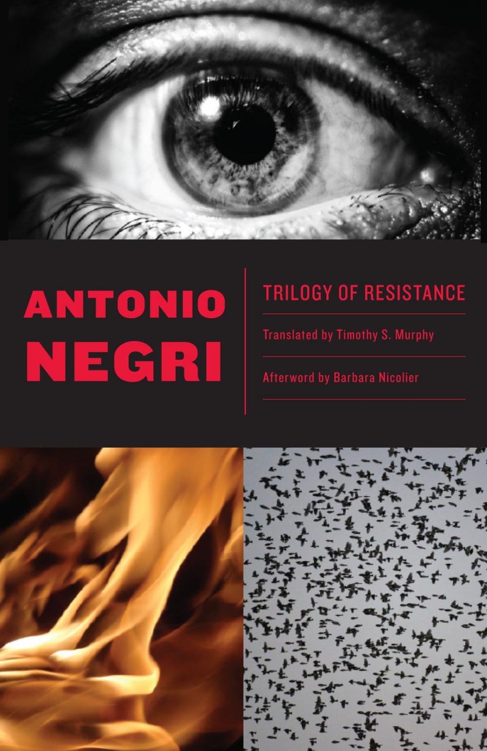 Big bigCover of Trilogy of Resistance