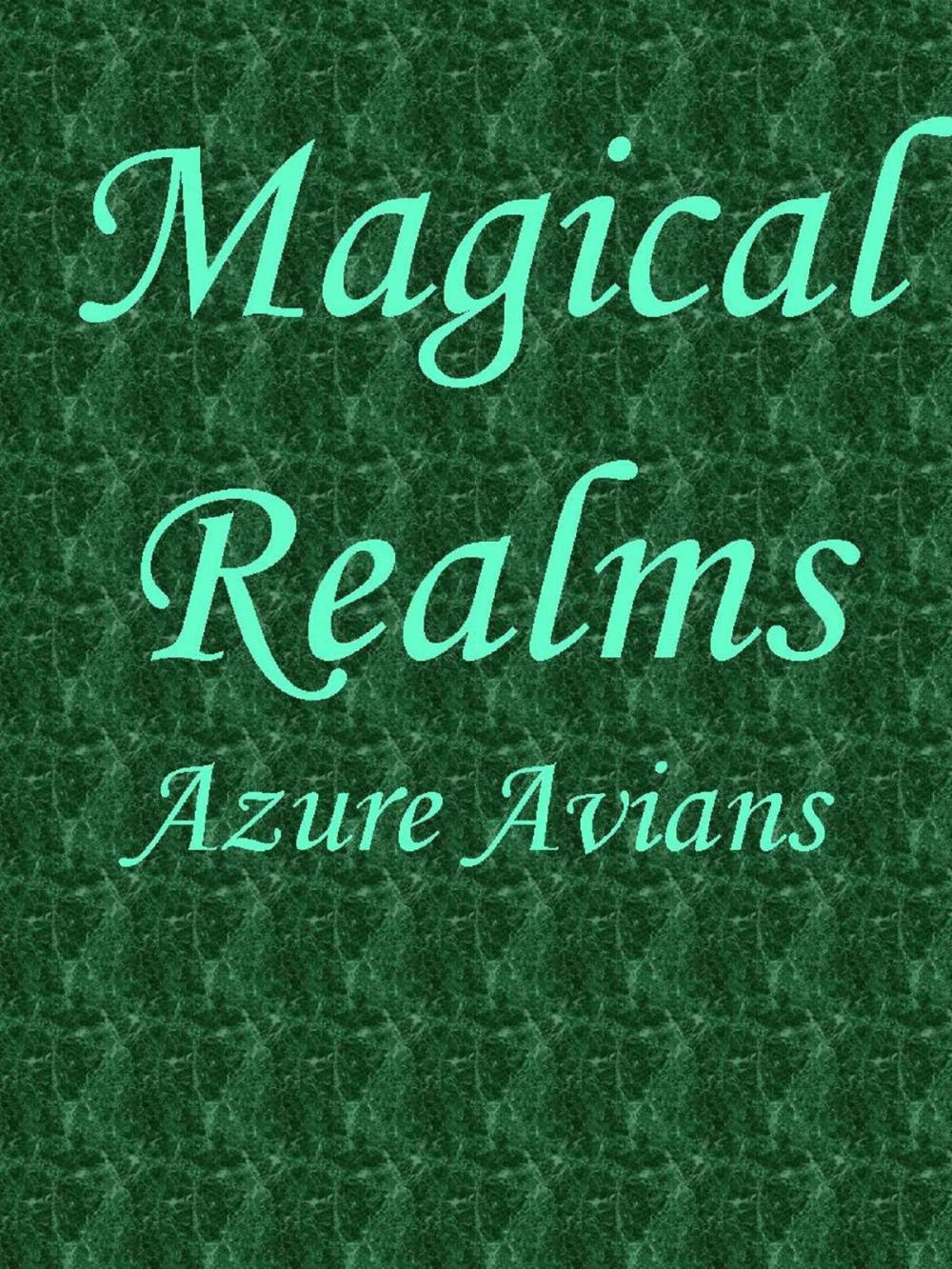 Big bigCover of Magical Realms