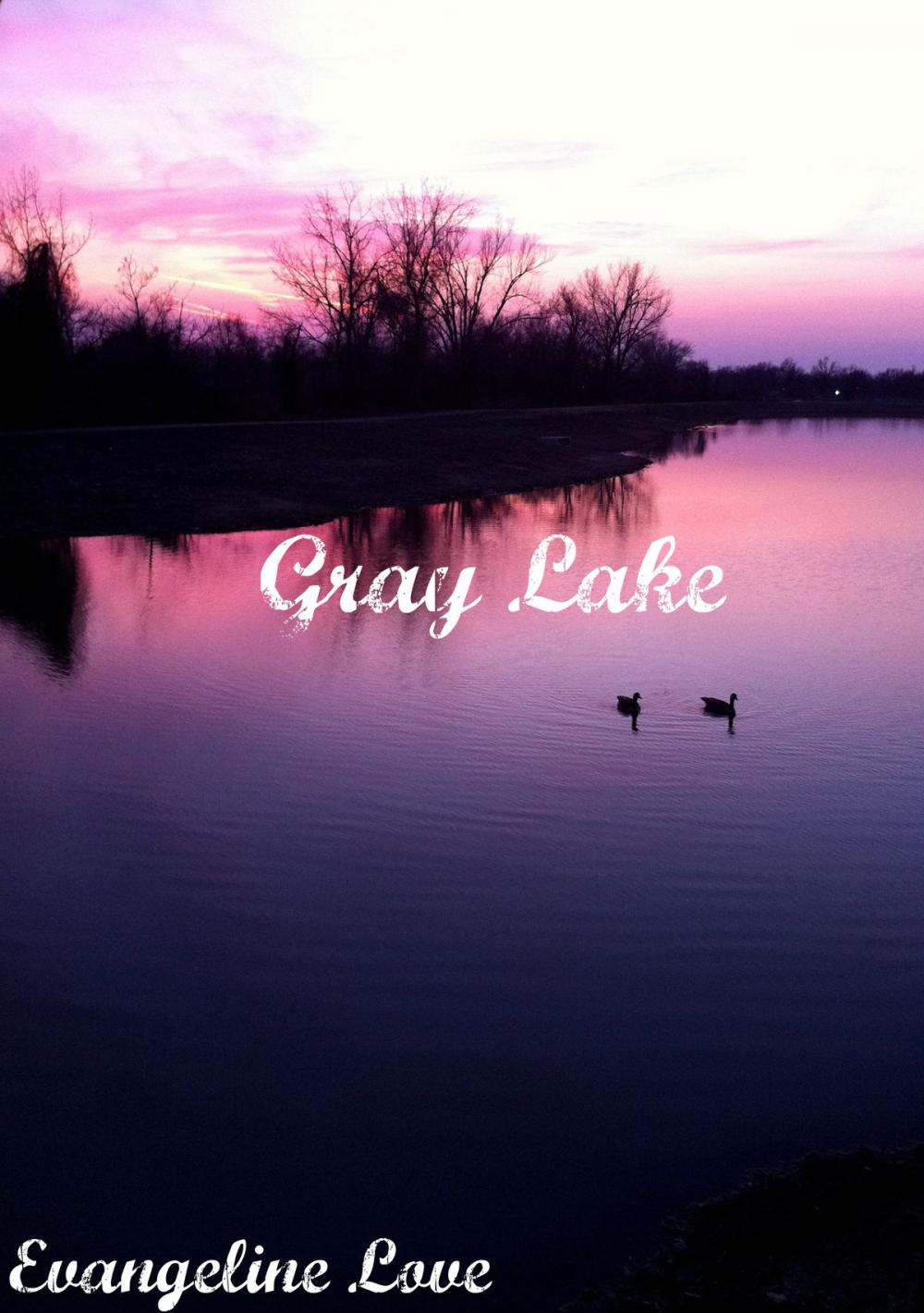 Big bigCover of Gray Lake
