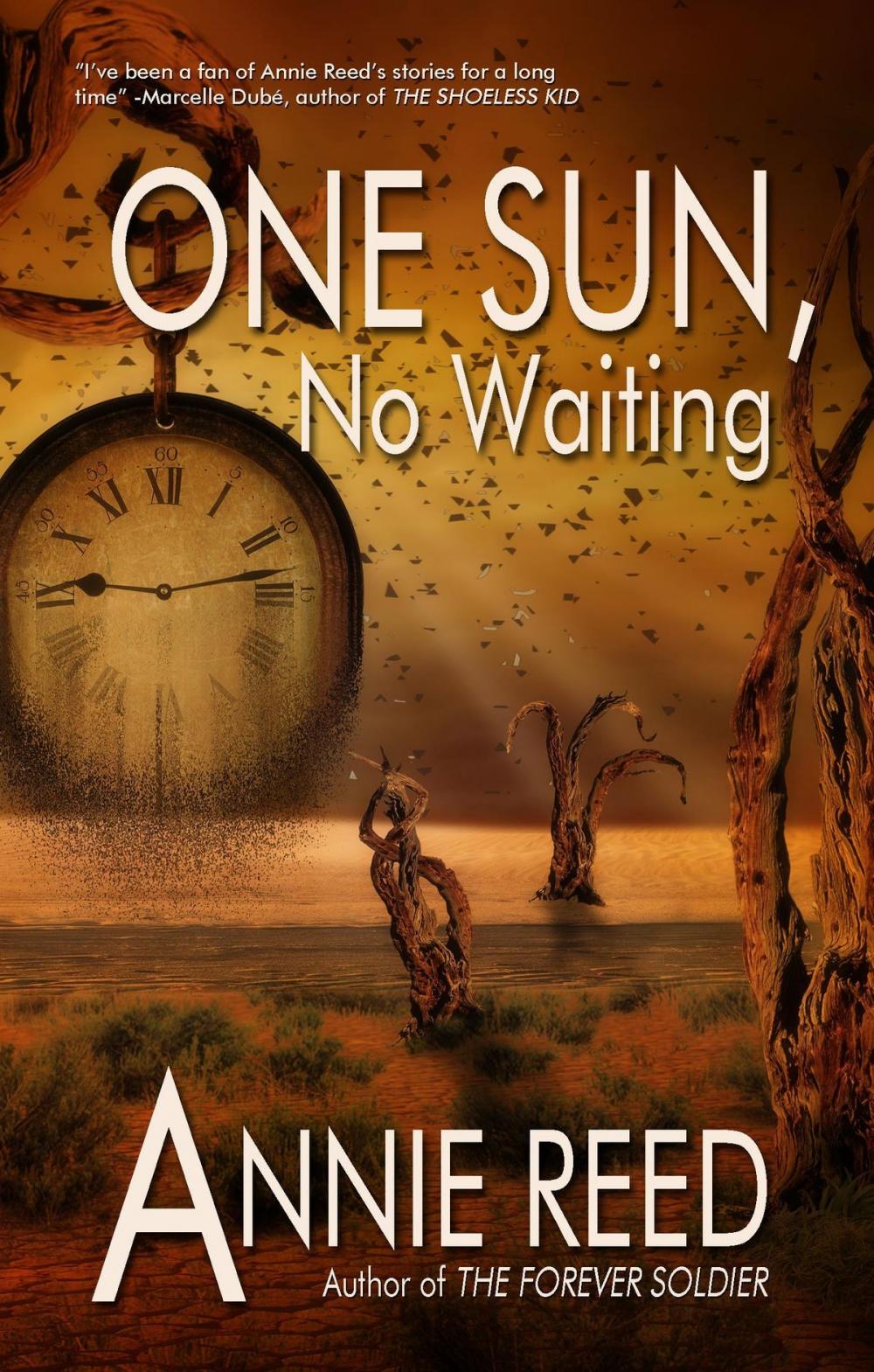 Big bigCover of One Sun, No Waiting