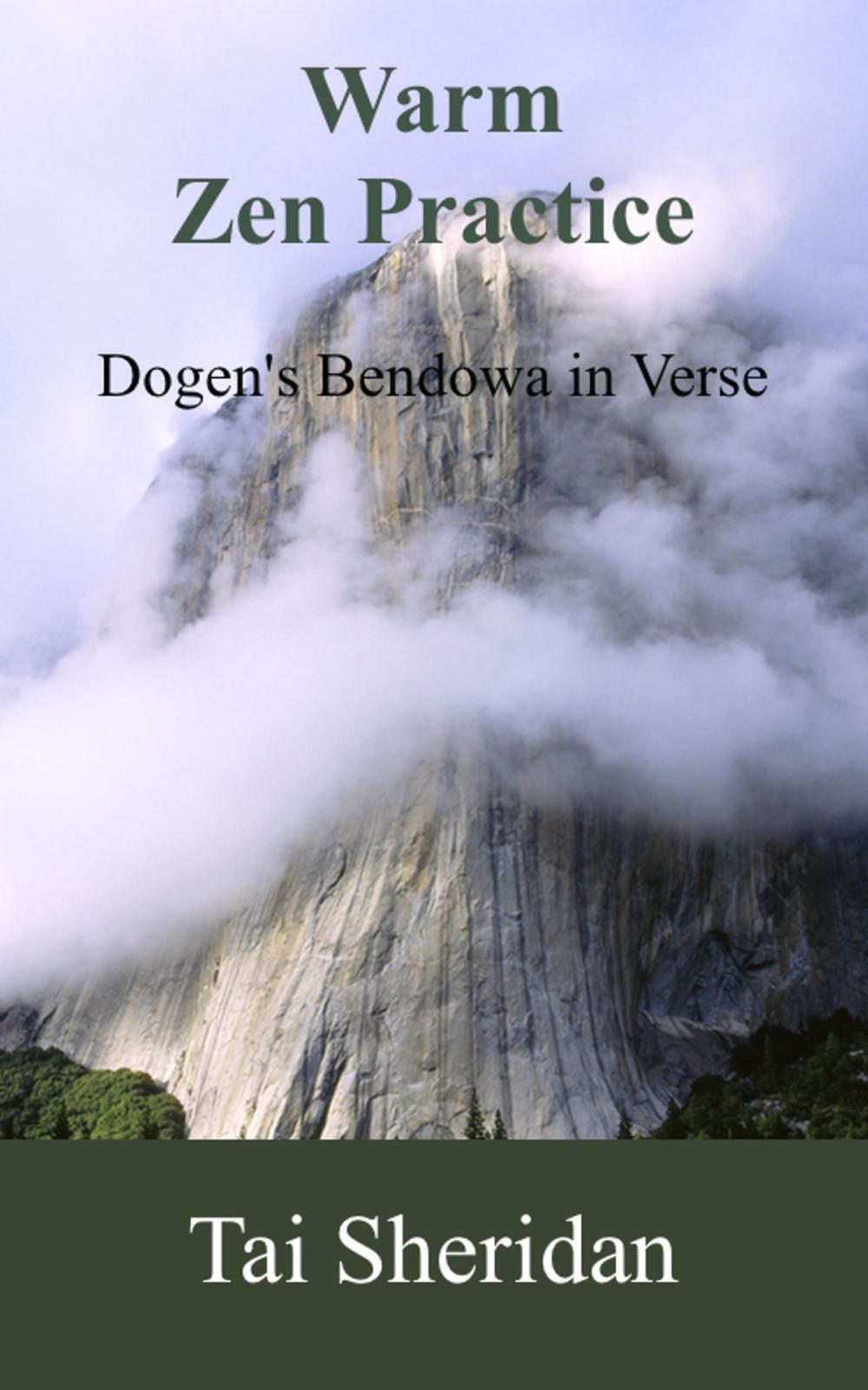 Big bigCover of Warm Zen Practice: A poetic version of Dogen's Bendowa