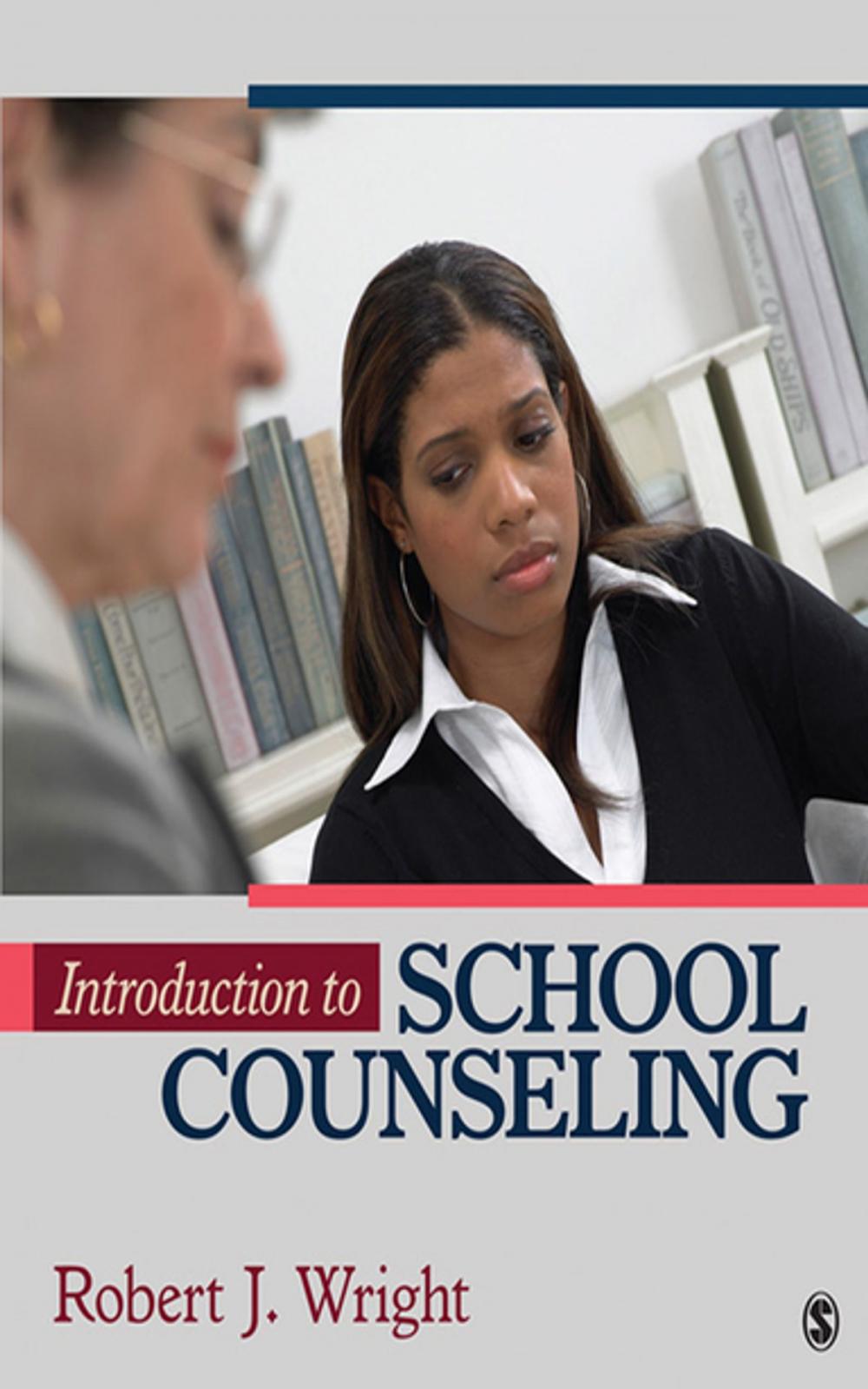 Big bigCover of Introduction to School Counseling