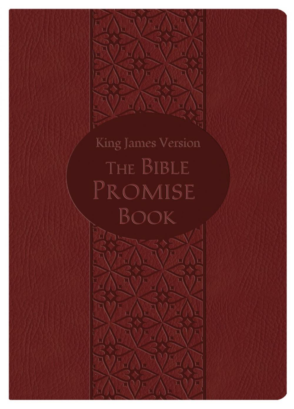 Big bigCover of Bible Promise Book Gift Edition (KJV)
