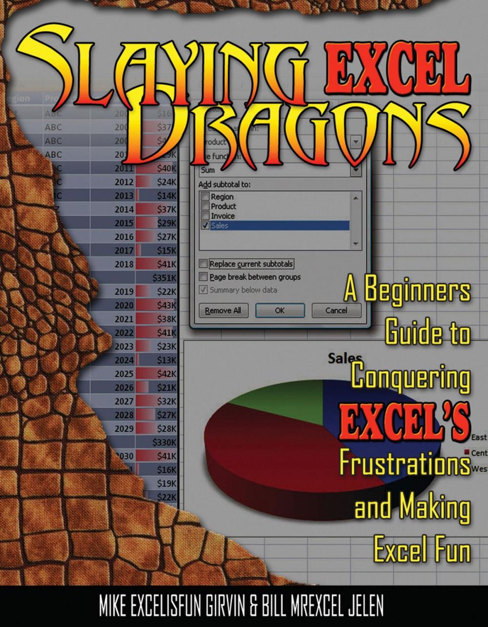 Big bigCover of Slaying Excel Dragons
