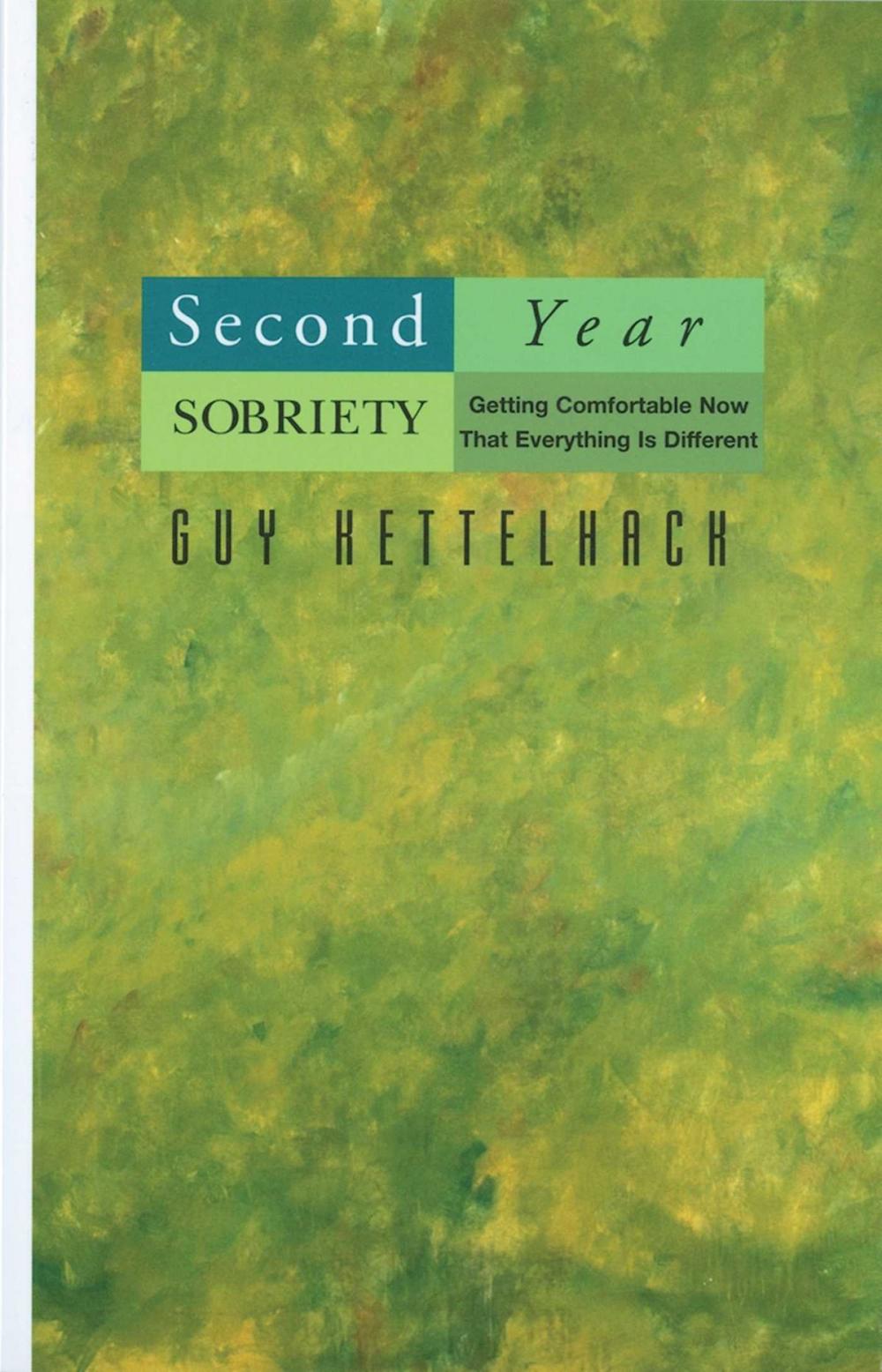 Big bigCover of Second Year Sobriety