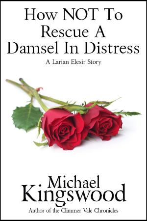 Cover of the book How NOT To Rescue A Damsel In Distress by DJ Jennings