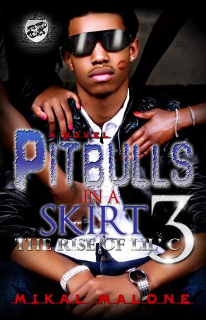 Book cover of Pitbulls In A Skirt 3: The Rise of Lil C (The Cartel Publications Presents)