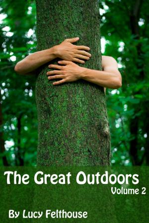 Cover of the book The Great Outdoors Vol 2 by Lucy Felthouse