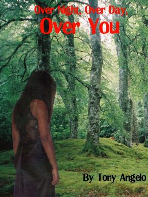 Cover of the book Over night over day over you by C.D. Davis