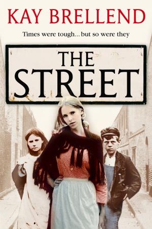Cover of the book The Street by John Cleland