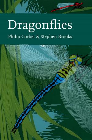 Cover of the book Dragonflies (Collins New Naturalist Library, Book 106) by Gavin, roSS