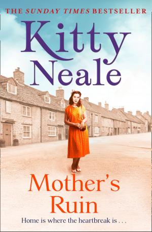 Cover of the book Mother’s Ruin by Richard Daly
