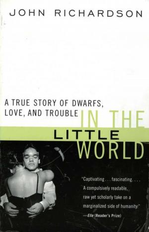 Cover of the book In the Little World by Charlotte Higgins