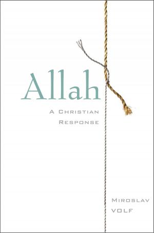 Cover of the book Allah by David Niven PhD