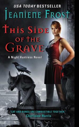 Cover of the book This Side of the Grave by Alafair Burke