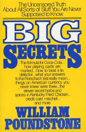Cover of the book Big Secrets by Alberto E. Goachet