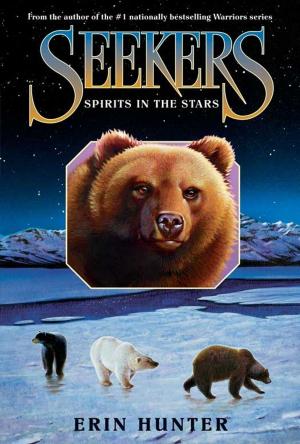 Cover of the book Seekers #6: Spirits in the Stars by J a Mawter