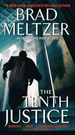 Book cover of The Tenth Justice