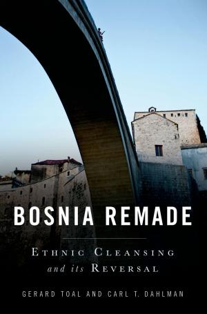 Cover of the book Bosnia Remade by Brink Lindsey, Steven M. Teles
