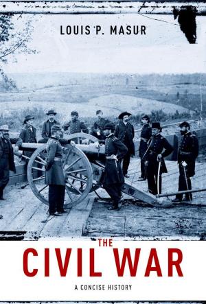 Cover of the book The Civil War by Ray Hilborn