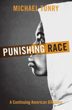 Book cover of Punishing Race