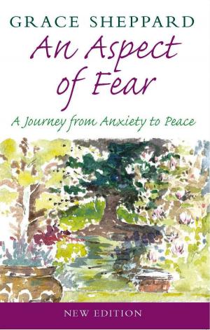 Cover of the book An Aspect of Fear: A Journey from Anxiety to Peace by David Sheppard