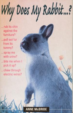 Book cover of Why Does My Rabbit...?