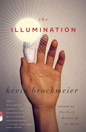 Cover of the book The Illumination by Michael Korda