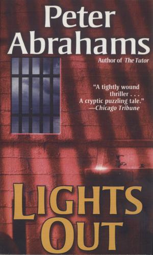 Cover of the book Lights Out by Ingrid Sturgis