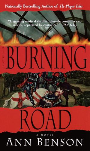 Cover of the book The Burning Road by Debbie Macomber