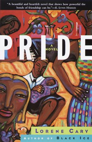 Cover of the book Pride by Edna Ferber
