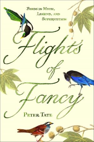 Cover of the book Flights of Fancy by Molly Jong-Fast