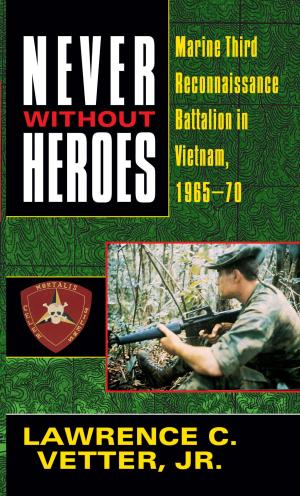 Cover of the book Never Without Heroes by Louise Shaffer
