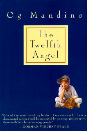 Cover of the book Twelfth Angel by Nicole Jordan