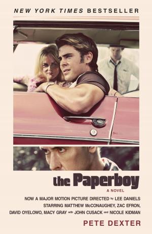 Cover of the book The Paperboy by Deborah Harmse