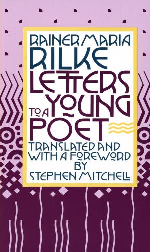 Cover of the book Letters to a Young Poet by Stefan Maechler